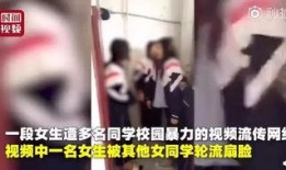 郑州爆料女孩子视频播放,揭秘背后真相